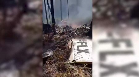 При крушении легкомоторного самолета на Багамах погибли 10 человек