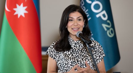 Arpadarai: Kraudfandinqin digər formalarının hüquqi statusu da dəqiqləşdirilməlidir