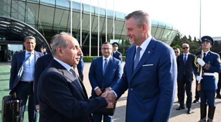Slovakiya Prezidentinin Azərbaycana səfəri başa çatıb
