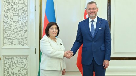 Sahibə Qafarova Pelleqrini ilə görüşüb