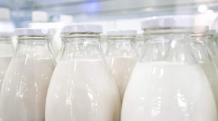 Anormal istilər Fransada kənd təsərrüfatına zərbə vurub, süd istehsalında itkilər 30%-ə çata bilər