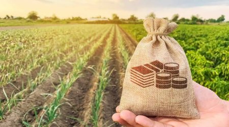Azərbaycanda kənd təsərrüfatı istehsalı ilk yarımildə 2,2% artıb