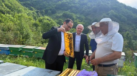 В Кяльбаджаре обсудили вклад новой агропрограммы в развитие района