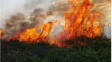 Минэкологии: в ближайшие дни в Азербайджане сохранится высокая пожарная опасность