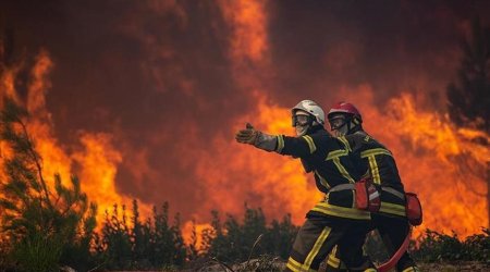 Лесные пожары во Франции бьют антирекорды