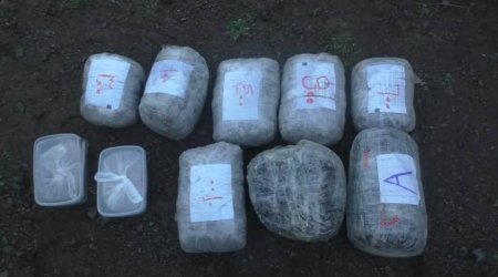 В Азербайджане минувшим днем изъято более 45 кг наркотиков