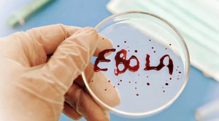 Ebola qurbanlarının sayı 1 354-ə çatdı
