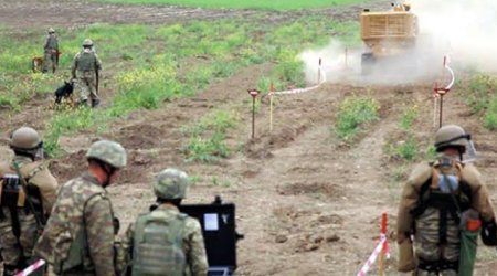 В освобожденных районах за неделю обезвредили 965 мин и боеприпасов