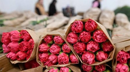 Россельхознадзор пресек попытку ввоза армянских роз через Беларусь