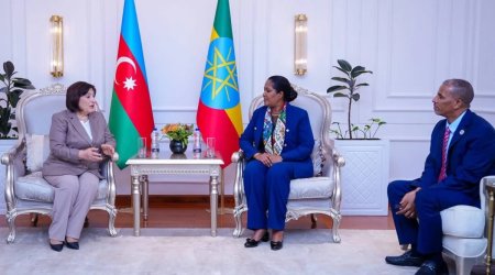 Sahibə Qafarova Efiopiyaya gedib