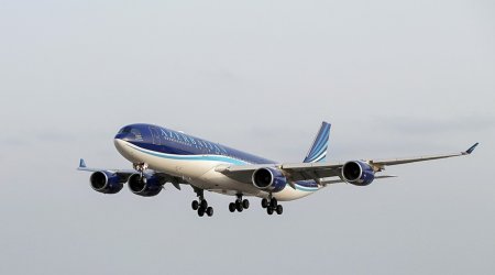 
Азербайджан с сегодняшнего дня вводит безвизовый режим для граждан Боснии и Герцеговины и Сингапура