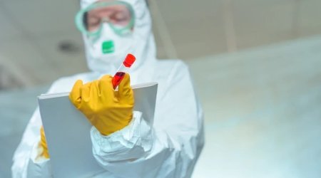 

СМИ сообщили о случае заражения в штате Нью-Йорк редким вирусом бурбон
