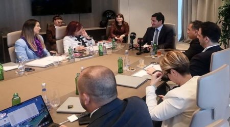 Hikmət Hacıyev TADİV nümayəndə heyəti ilə görüşüb
