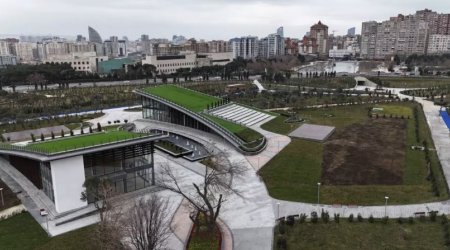 Bakıda yeni salınmış parkda Təbiət Tarixi Muzeyi yaradılacaq &mdash; 22,5 milyon manat ayrıldı