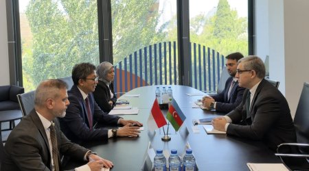 Azərbaycan və İndoneziya iqtisadi forum keçirməyi müzakirə edib