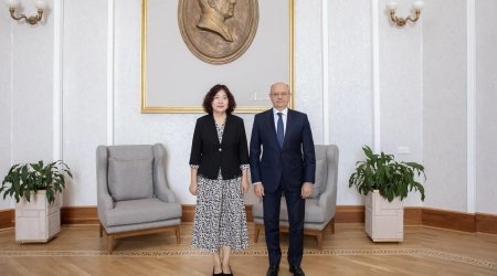 Azərbaycan və Çin "yaşıl enerji" layihələrini müzakirə edib