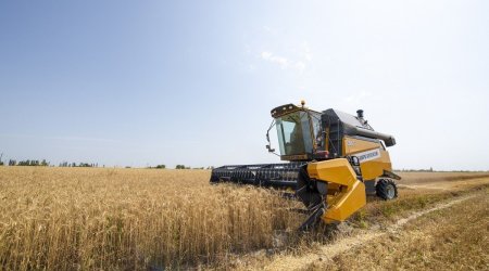 Azerbaijan harvests 93% of grain fields, securing over 3.1 million metric tons of crops