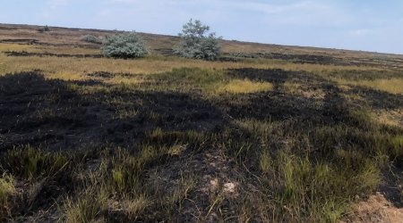 
İmişlidə yanğın törədən şəxs saxlanılıb