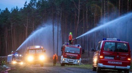 В Германии из-за масштабного лесного пожара эвакуируют около 1,8 тыс. человек