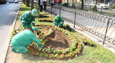 Bakıda genişmiqyaslı iməclik keçirilib