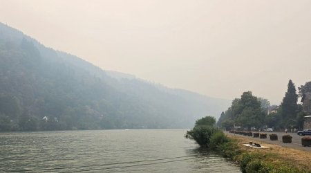 Крупнейший лесной пожар в Бельгии