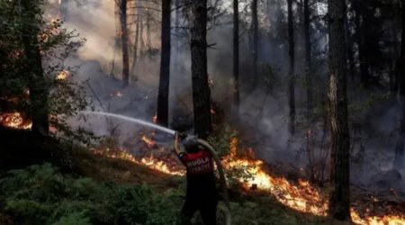 Türkiyədə meşə yanğınları ilə bağlı 11 nəfər həbs edildi
