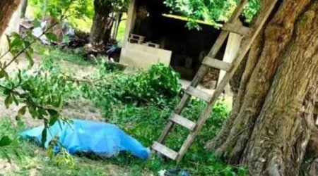 Əncir yığmaq üçün ağaca dırmaşan kişi yıxılaraq ölüb