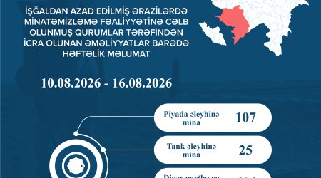 Azad edilmiş ərazilərdə bir həftədə 746 mina və partlayıcı sursat zərərsizləşdirilib
