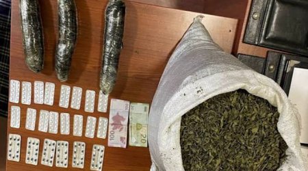 Lənkəranda narkotik tərkibli bitkilər yetişdirən şəxslər həbs edilib