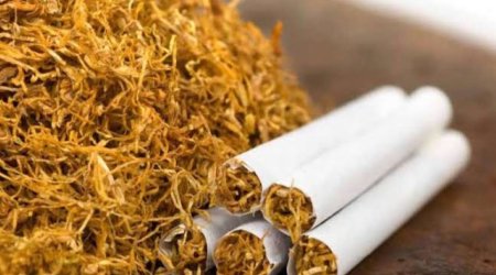 Azerbaijan tobacco output surges 18.4% in Jan-July 2026