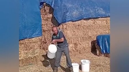 Fermer südünü yerə töküb nazirə səsləndi - video