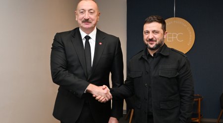 Зеленский поблагодарил Алиева за поздравление с Днём независимости