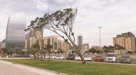 Baku to See 29&deg;C on August 28, Hail and Thunderstorms Expected in Mountainous Regions