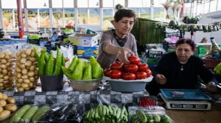 Azerbaijan's Agricultural and Agro-Industrial Exports Grow 22.8% to $896 Million