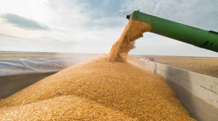 Rusiyadan Ermənistana Azərbaycandan tranzitlə daha 700 ton taxıl göndəriləcək