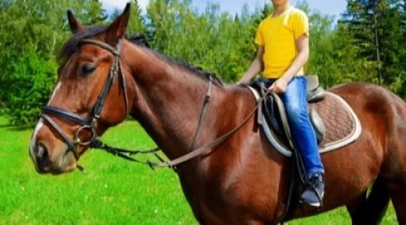 Füzulidə 12 yaşlı uşaq atdan yıxılaraq ölüb