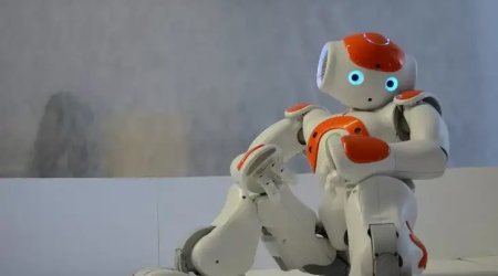 Çində robotlar üçün &ldquo;uşaq bağçası&rdquo; yaradılıb
