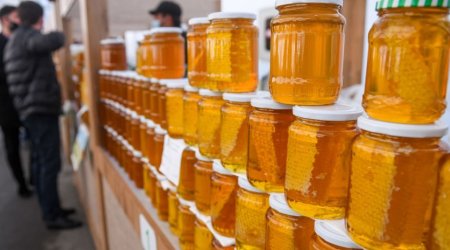 Baku to Host 26th National Beekeeping Fair as Registration Opens Sept 7