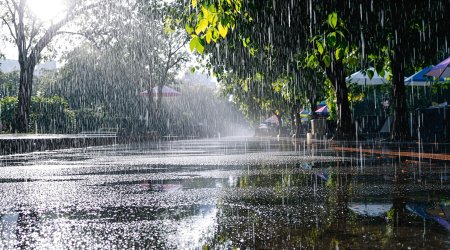 Faktiki hava açıqlanıb