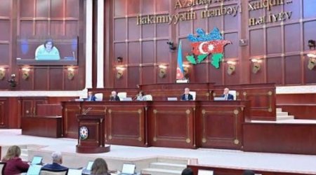 Стартуют заседания комитетов Милли Меджлиса в рамках осенней сессии