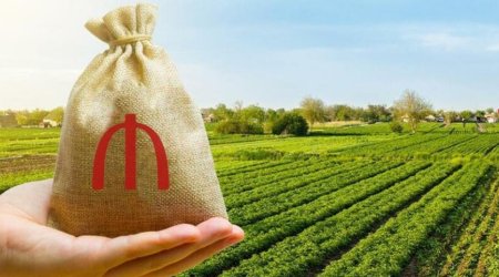 Azerbaijan&rsquo;s agricultural output surpasses 10 billion manats in Jan&ndash;Aug 2026
