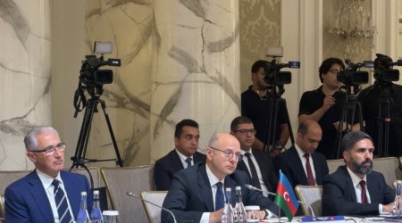 SOCAR Türkiyədəki "Petkim" kompleksinə yeni investisiyalar yatırmağı planlaşdırır