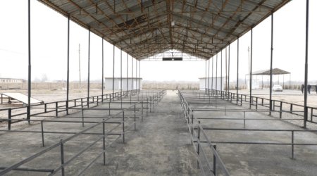 Azərbaycanda fəaliyyətə başlayan heyvan bazarlarının sayı 20-yə çatıb