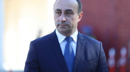Gürcüstan DTX-nın rəhbəri istefa verib