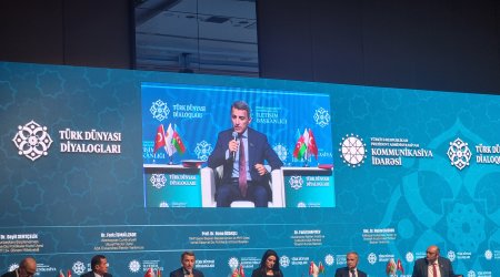 Azərbaycan və Türkiyə geosiyasi risklər fonunda addımlarını koordinasiya etməlidir - deputat