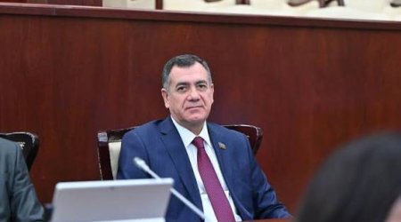 Həsənquliyev: Cəzaların sərtləşdirilməsi narkotiklərlə mübarizədə effektiv deyil