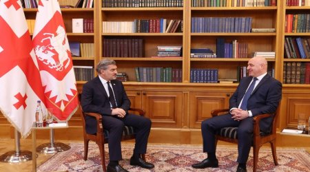 Gürcüstan Prezidenti Azərbaycana yeni təyin olunmuş səfirlə görüşüb