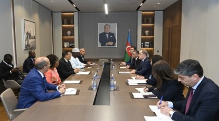 Ceyhun Bayramov Pan-Afrika Parlamentinin prezidenti ilə görüşüb