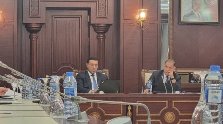 AİH şirkətlərinin satınalma prosedurları sadələşdirilə bilər