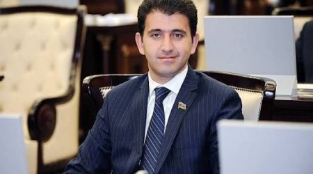 Şəhid valideynlərinin 65 yaşdan sonra işləməsi üçün xüsusi norma yaradılmalıdır - Naqif Həmzəyev
